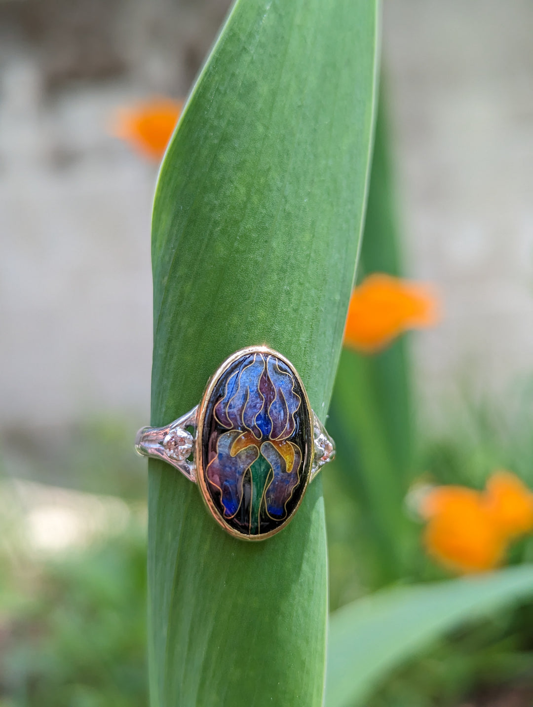 Iris Ring