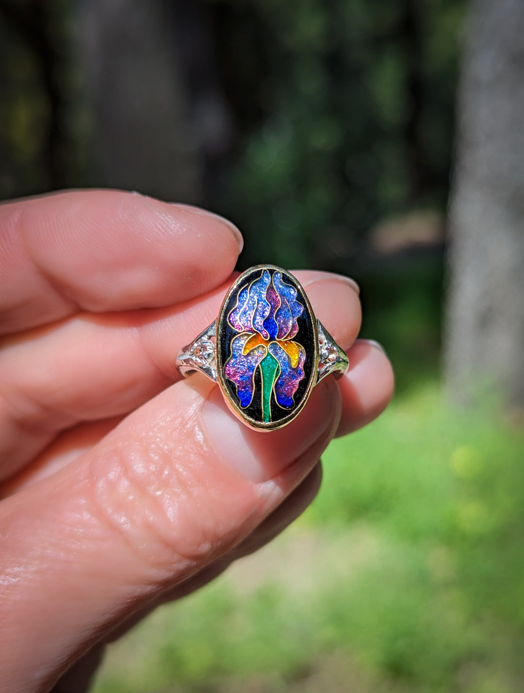 Iris Ring