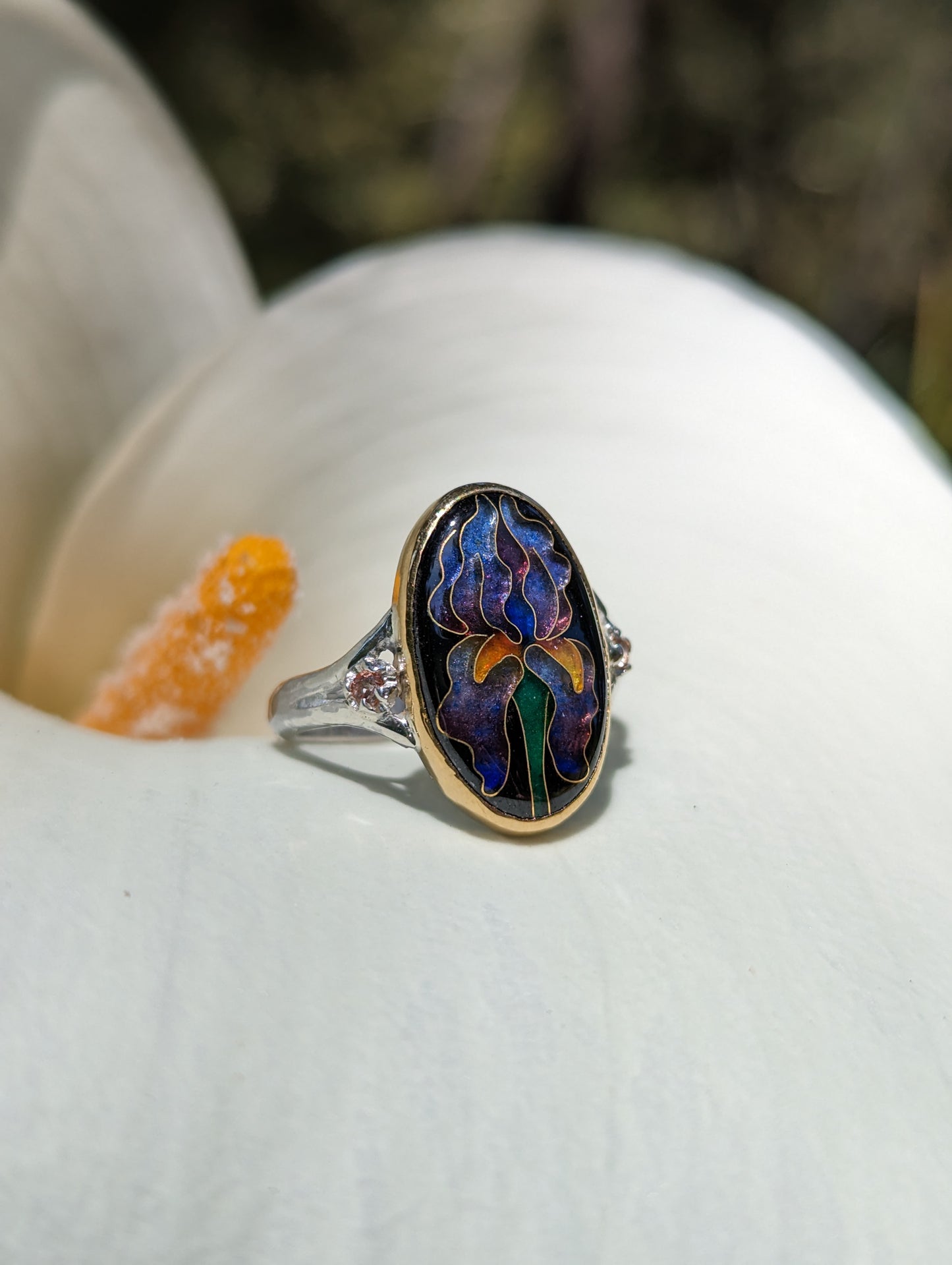 Iris Ring