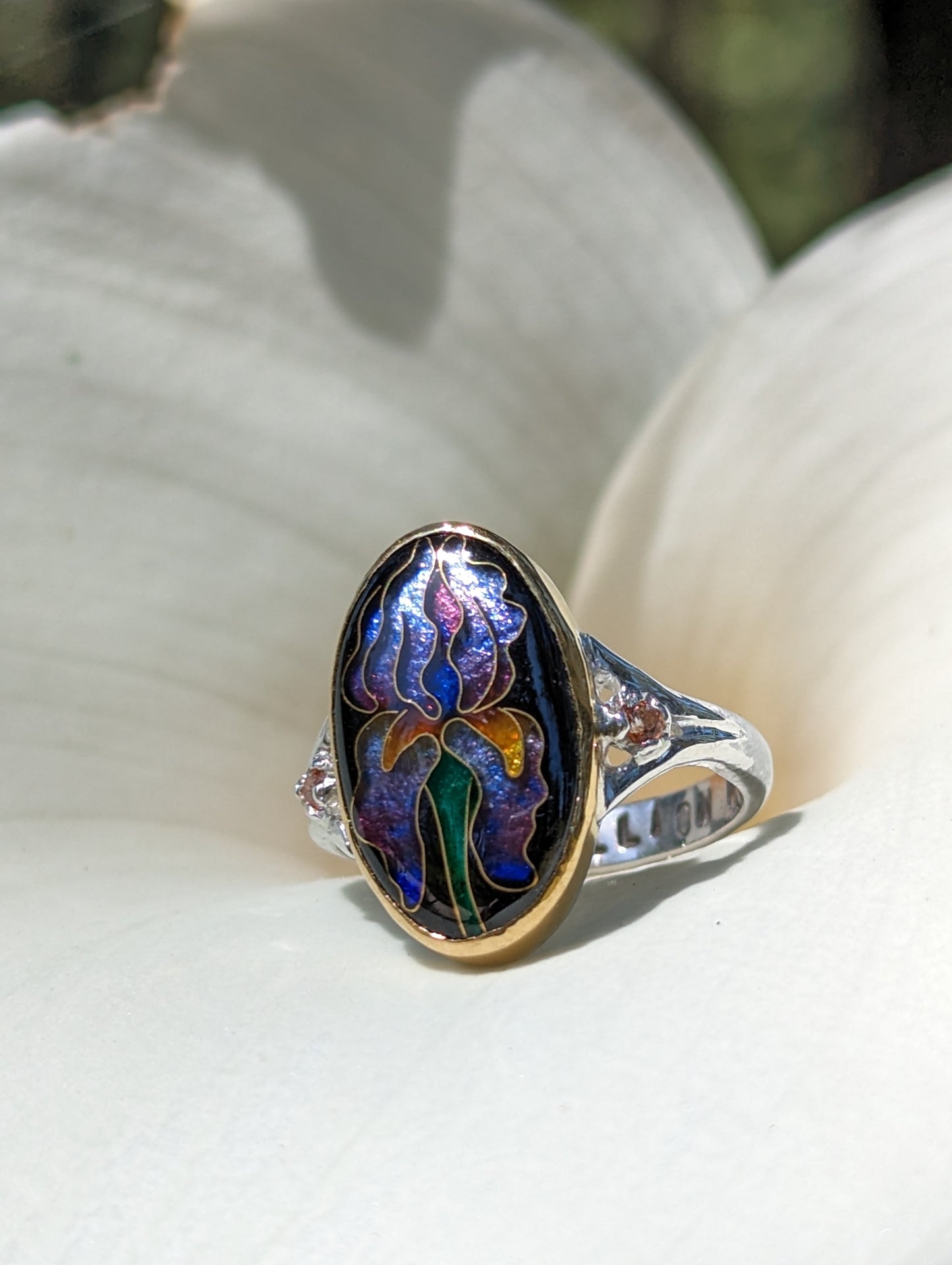 Iris Ring