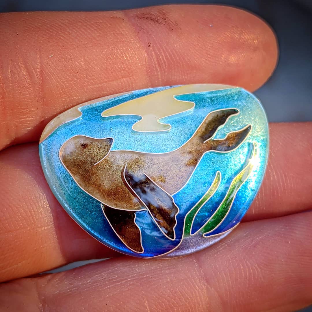 California Sea Lion