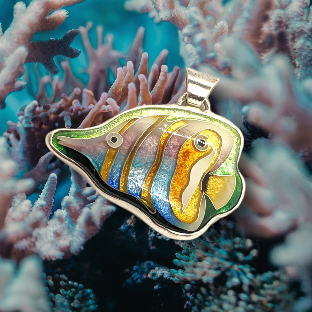 Butterflyfish