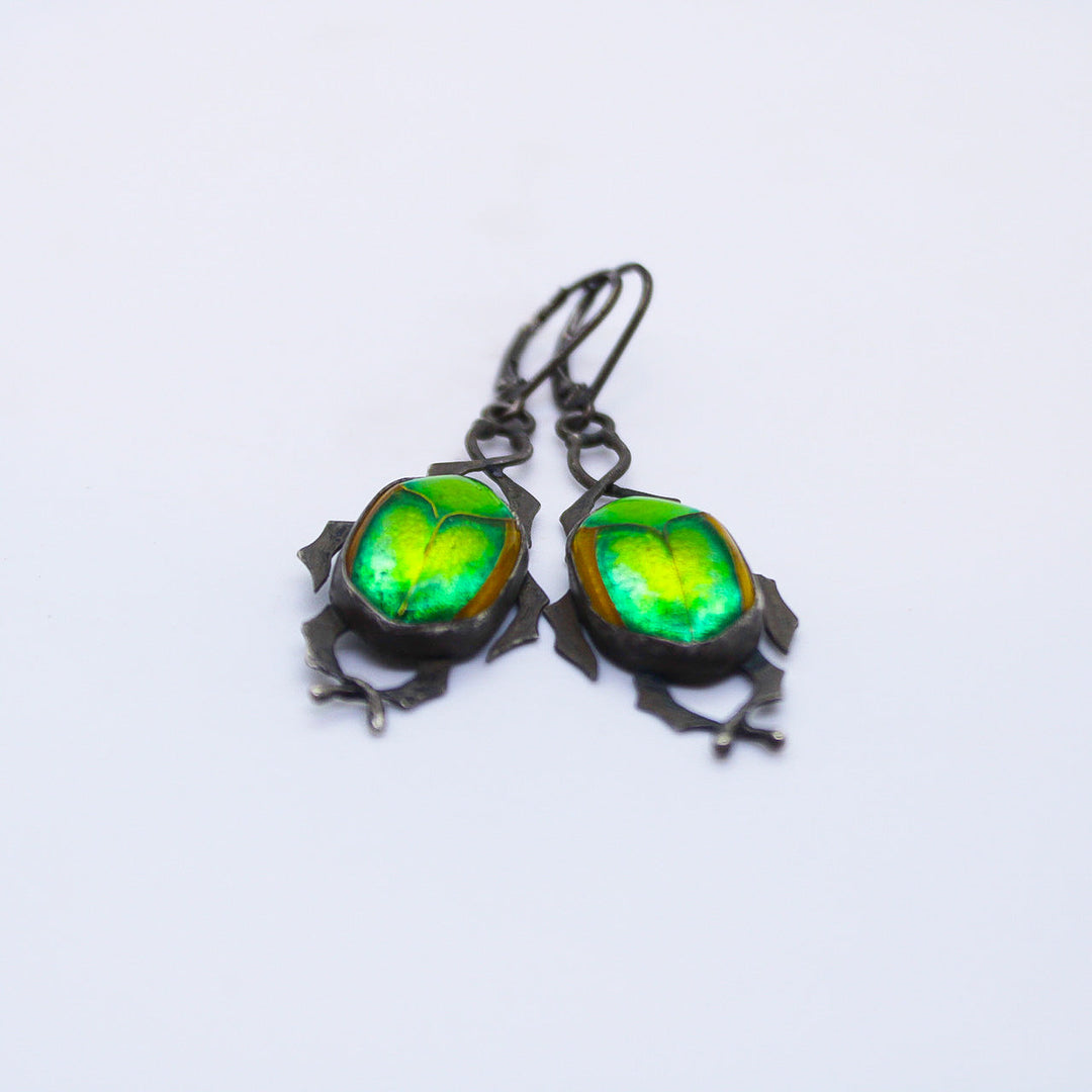 Fig Eater Beetle Earrings