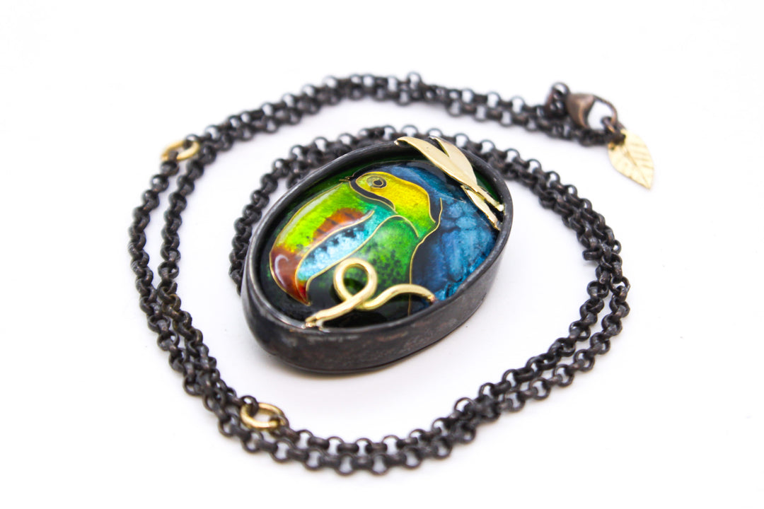 Toucan