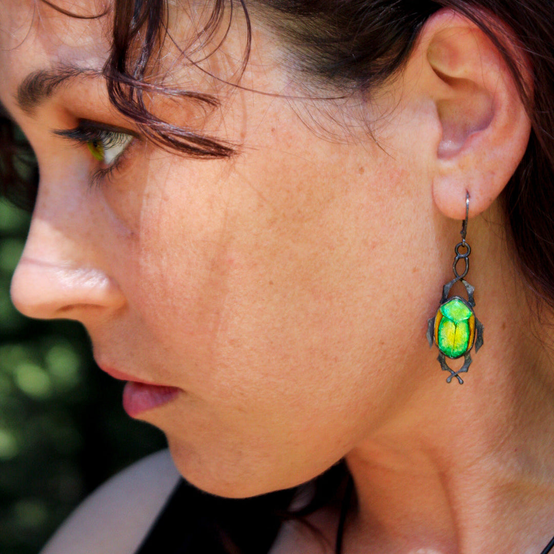 Fig Eater Beetle Earrings