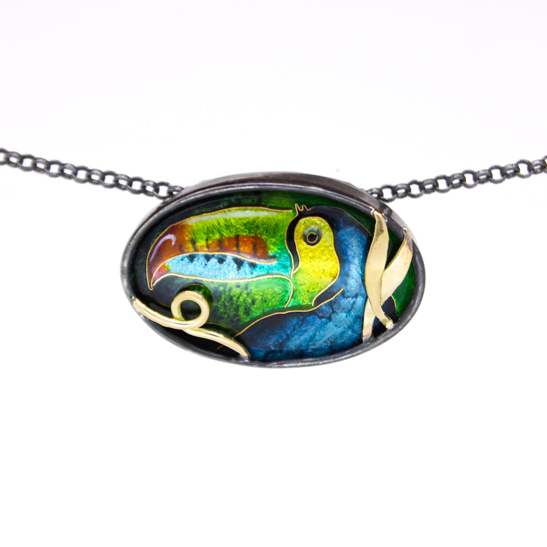 Toucan