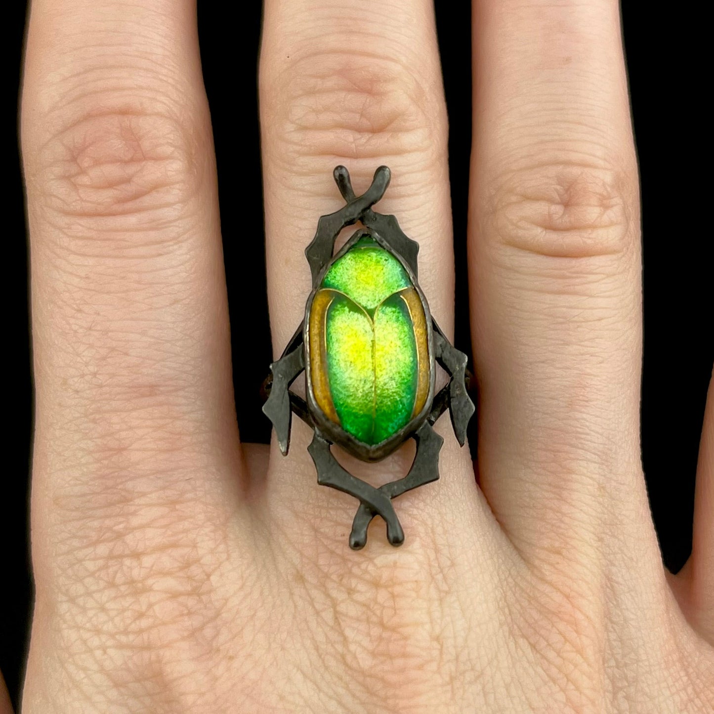 Fig Eater Beetle Ring