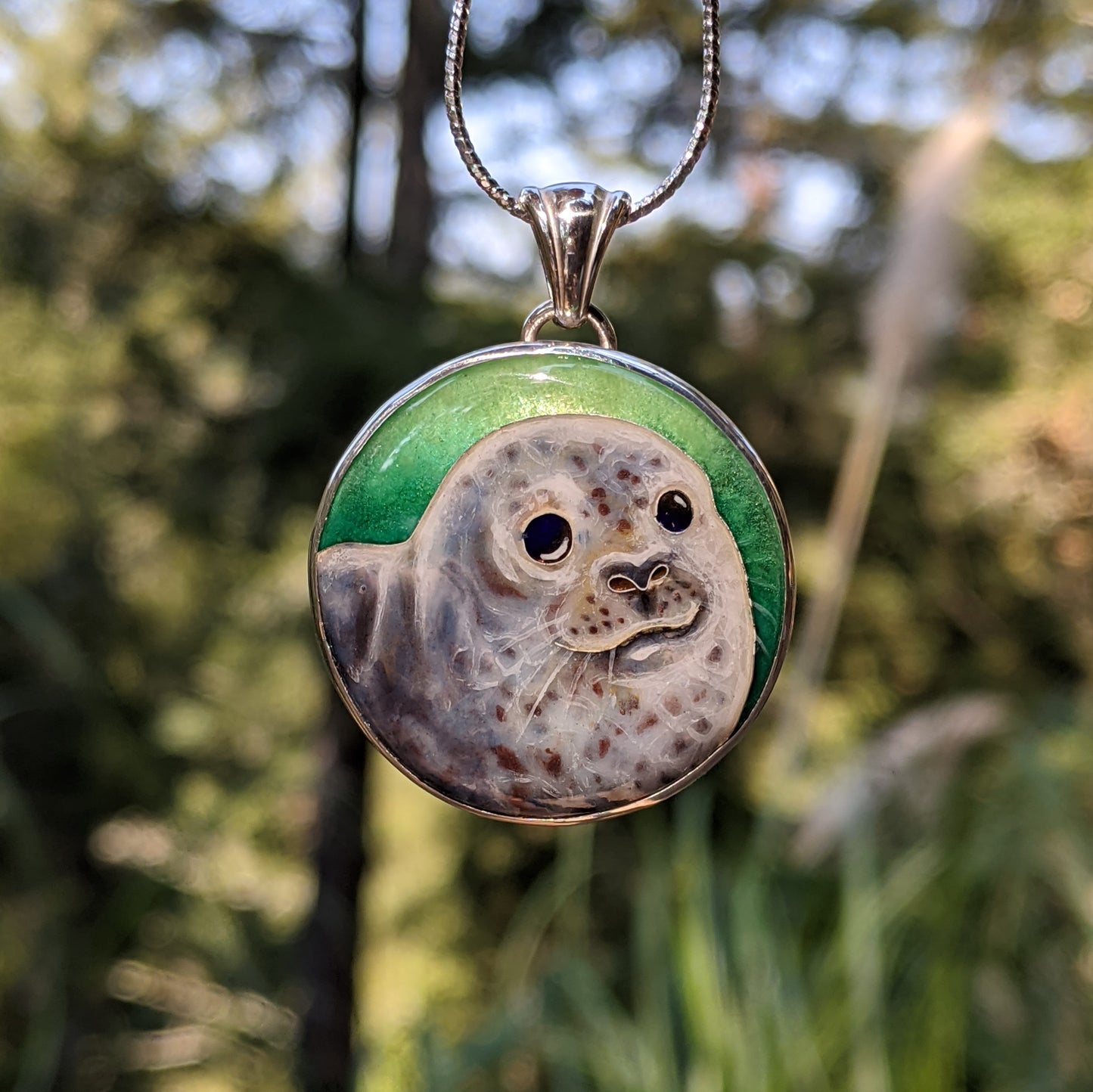 The Harbor Seal