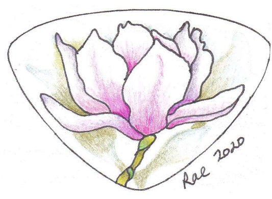 Magnolia Opalescence Blank